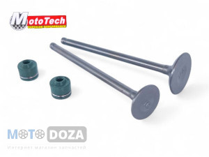 Клапана Suzuki 4-T (2 шт)+сальники MotoTech Taiwan